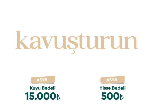 text (1) text 1 e1763042066414