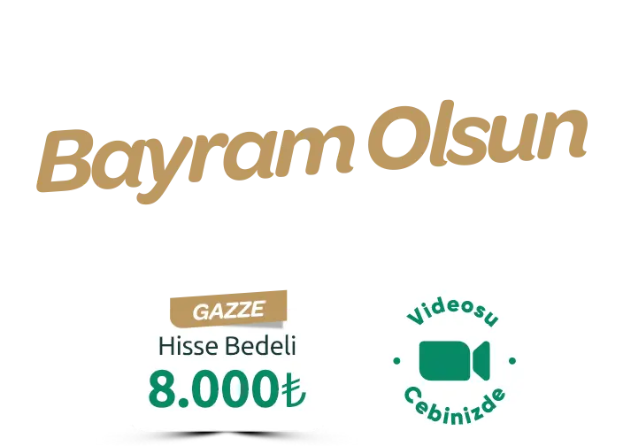 TEXT GAZZE TEXT GAZZE